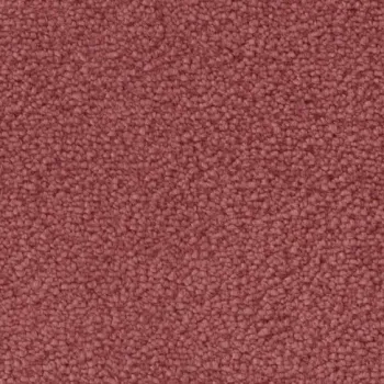 Draufsicht auf Vorwerk Mira 1P99